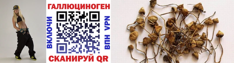 Псилоцибиновые грибы GOLDEN TEACHER  как найти наркотики  Джанкой 