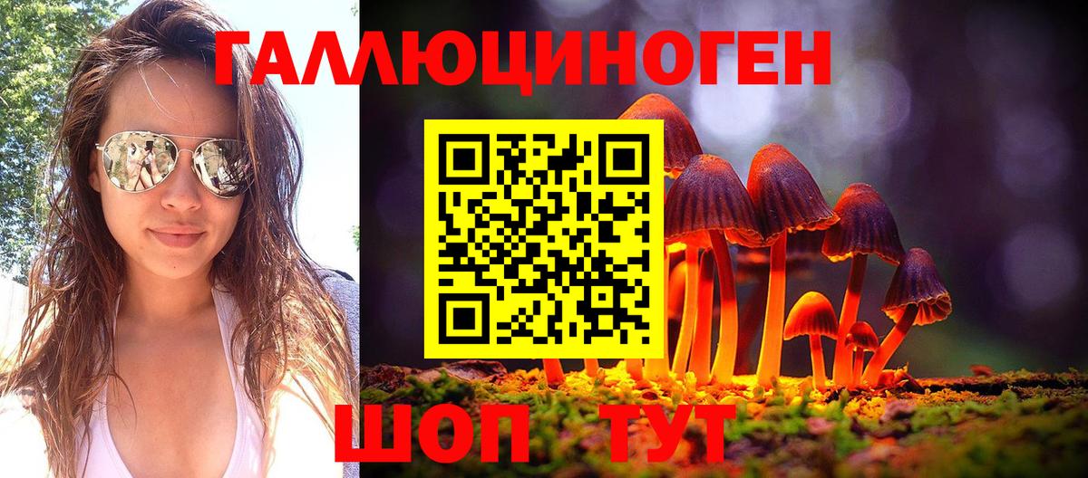 как найти закладки  Псилоцибиновые грибы GOLDEN TEACHER  Псилоцибиновые грибы Cubensis  Вход с VPN  Джанкой 